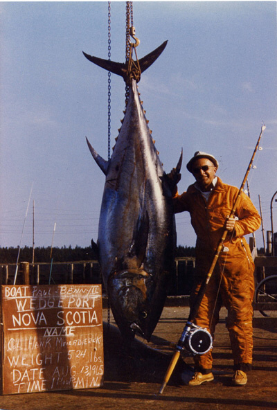 524 lb. Blue Fin Tuna